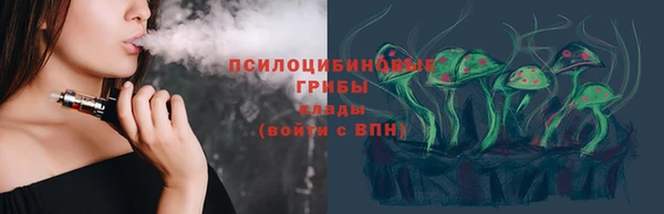 гашик Бородино