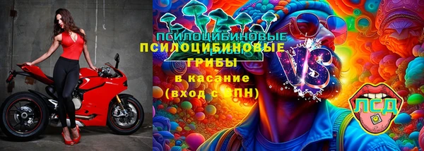 гашик Бородино