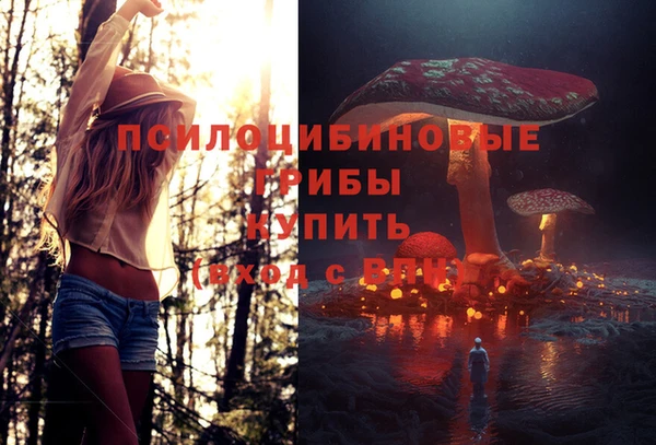 кокаин Богданович