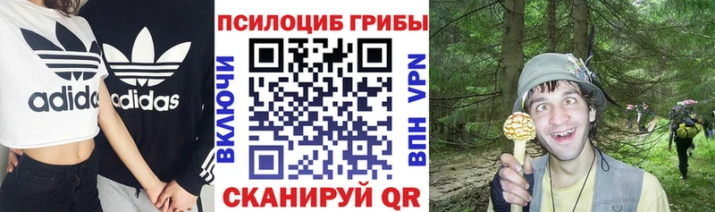 Галлюциногенные грибы MAGIC MUSHROOMS  MEGA зеркало  Джанкой 