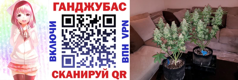 закладка  Джанкой  площадка официальный сайт  Бошки Шишки марихуана 